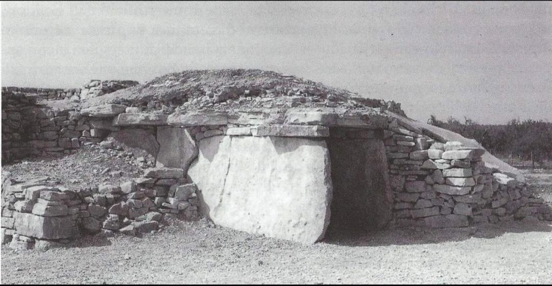 Casa Cicetta Διαμέρισμα Giovinazzo Εξωτερικό φωτογραφία
